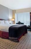 Туры в отель Hilton Boston Logan Airport Туры в отель Hilton Boston Logan Airport