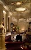 Туры в отель Hilton Chicago Туры в отель Hilton Chicago