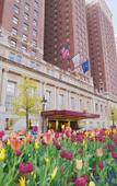 Туры в отель Hilton Chicago Туры в отель Hilton Chicago