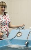 Туры в отель «Маян» санаторий Туры в отель «Маян» санаторий