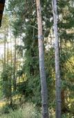 Туры в отель «Пространство Мечты» апарт-отель Туры в отель «Пространство Мечты» апарт-отель