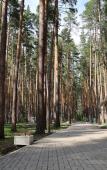 Туры в отель «ДухЛес» база отдыха Туры в отель «ДухЛес» база отдыха