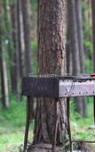 Туры в отель «ДухЛес» база отдыха Туры в отель «ДухЛес» база отдыха