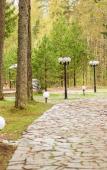 Туры в отель «Пять звезд Цвелодубово» загородный комплекс Туры в отель «Пять звезд Цвелодубово» загородный комплекс