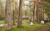 Туры в отель «Пять звезд Цвелодубово» загородный комплекс Туры в отель «Пять звезд Цвелодубово» загородный комплекс