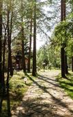 Туры в отель «Пять звезд Цвелодубово» загородный комплекс Туры в отель «Пять звезд Цвелодубово» загородный комплекс