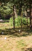 Туры в отель «Пять звезд Цвелодубово» загородный комплекс Туры в отель «Пять звезд Цвелодубово» загородный комплекс