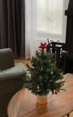 Туры в отель «Пять звезд Цвелодубово» загородный комплекс Туры в отель «Пять звезд Цвелодубово» загородный комплекс