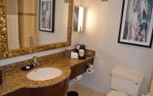 Туры в отель Pullman Miami Airport Туры в отель Pullman Miami Airport