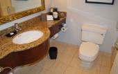 Туры в отель Pullman Miami Airport Туры в отель Pullman Miami Airport