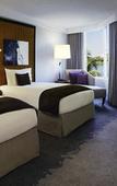 Туры в отель Pullman Miami Airport Туры в отель Pullman Miami Airport