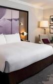 Туры в отель Pullman Miami Airport Туры в отель Pullman Miami Airport