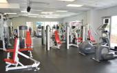 Туры в отель Pullman Miami Airport Туры в отель Pullman Miami Airport