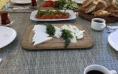 Туры в отель Molino Hotel Туры в отель Molino Hotel