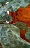 Туры в отель AGAM Hotel Boutique Bacalar - Adults Only Туры в отель AGAM Hotel Boutique Bacalar - Adults Only