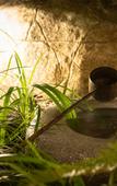 Туры в отель Four Points Flex by Sheraton Kyoto Oike Туры в отель Four Points Flex by Sheraton Kyoto Oike