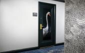 Туры в отель Hotel Spero, Vignette Collection by IHG Туры в отель Hotel Spero, Vignette Collection by IHG