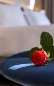Туры в отель Radisson Blu Hotel, Rouen Centre Туры в отель Radisson Blu Hotel, Rouen Centre