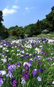 Туры в отель Hotel Nikko Kanazawa Туры в отель Hotel Nikko Kanazawa