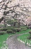 Туры в отель Hotel Nikko Kanazawa Туры в отель Hotel Nikko Kanazawa