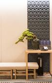 Туры в отель Ruian ruili coastal Hotel Туры в отель Ruian ruili coastal Hotel