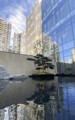 Туры в отель Ruian ruili coastal Hotel Туры в отель Ruian ruili coastal Hotel