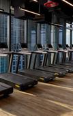 Туры в отель The Elser Hotel Miami Туры в отель The Elser Hotel Miami