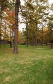 Туры в отель Karuizawa Prince Hotel West Туры в отель Karuizawa Prince Hotel West