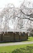 Туры в отель Karuizawa Prince Hotel West Туры в отель Karuizawa Prince Hotel West