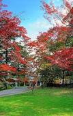 Туры в отель Karuizawa Prince Hotel West Туры в отель Karuizawa Prince Hotel West