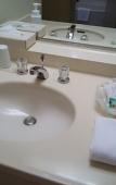 Туры в отель Karuizawa Prince Hotel West Туры в отель Karuizawa Prince Hotel West