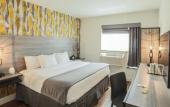 Туры в отель The Lodge Red Hook Туры в отель The Lodge Red Hook