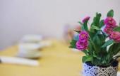 Туры в отель Hotel Villa Il Castagno Туры в отель Hotel Villa Il Castagno
