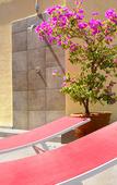 Туры в отель Ciutat de Sant Adria Туры в отель Ciutat de Sant Adria