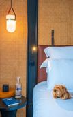 Туры в отель FirstName Bordeaux - part of JdV by Hyatt Туры в отель FirstName Bordeaux - part of JdV by Hyatt