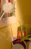 Туры в отель ACHAT Hotel Reilingen Walldorf Туры в отель ACHAT Hotel Reilingen Walldorf