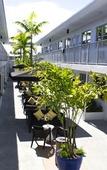 Туры в отель Seaside All Suites Hotel Туры в отель Seaside All Suites Hotel