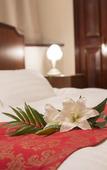 Туры в отель Hotel Alps Туры в отель Hotel Alps