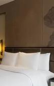 Туры в отель Pullman Weifang Wanda Туры в отель Pullman Weifang Wanda
