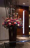Туры в отель Hotel Resol Trinity Kanazawa Туры в отель Hotel Resol Trinity Kanazawa