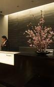 Туры в отель Hotel Resol Trinity Kanazawa Туры в отель Hotel Resol Trinity Kanazawa