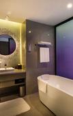 Туры в отель Pullman Nanjing Lukou Airport Туры в отель Pullman Nanjing Lukou Airport
