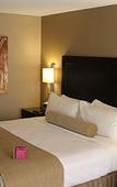 Туры в отель Sonesta Miami Airport Туры в отель Sonesta Miami Airport