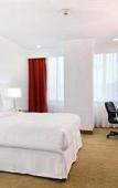 Туры в отель Hilton Mexico City Airport Туры в отель Hilton Mexico City Airport