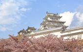 Туры в отель Hotel Monterey Himeji Туры в отель Hotel Monterey Himeji
