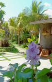 Туры в отель Kompyang Cottage Туры в отель Kompyang Cottage