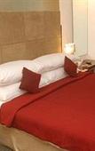 Туры в отель Sayaji Pune Туры в отель Sayaji Pune
