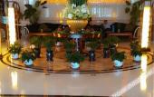 Туры в отель Arcadia International Hotel Туры в отель Arcadia International Hotel