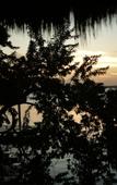 Туры в отель Mikasa Bacalar Hotel Boutique, Lagoon Front Туры в отель Mikasa Bacalar Hotel Boutique, Lagoon Front