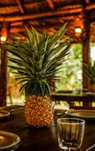 Туры в отель Mikasa Bacalar Hotel Boutique, Lagoon Front Туры в отель Mikasa Bacalar Hotel Boutique, Lagoon Front